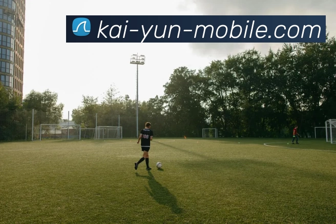 多媒体互动体验